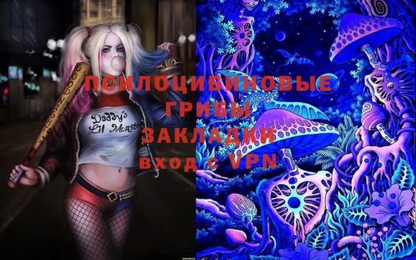 бошки Кулебаки