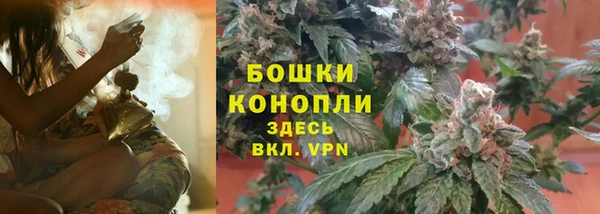 амф Арсеньев